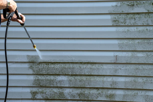 Affordable siding repair and maintenance services in Independence, OR